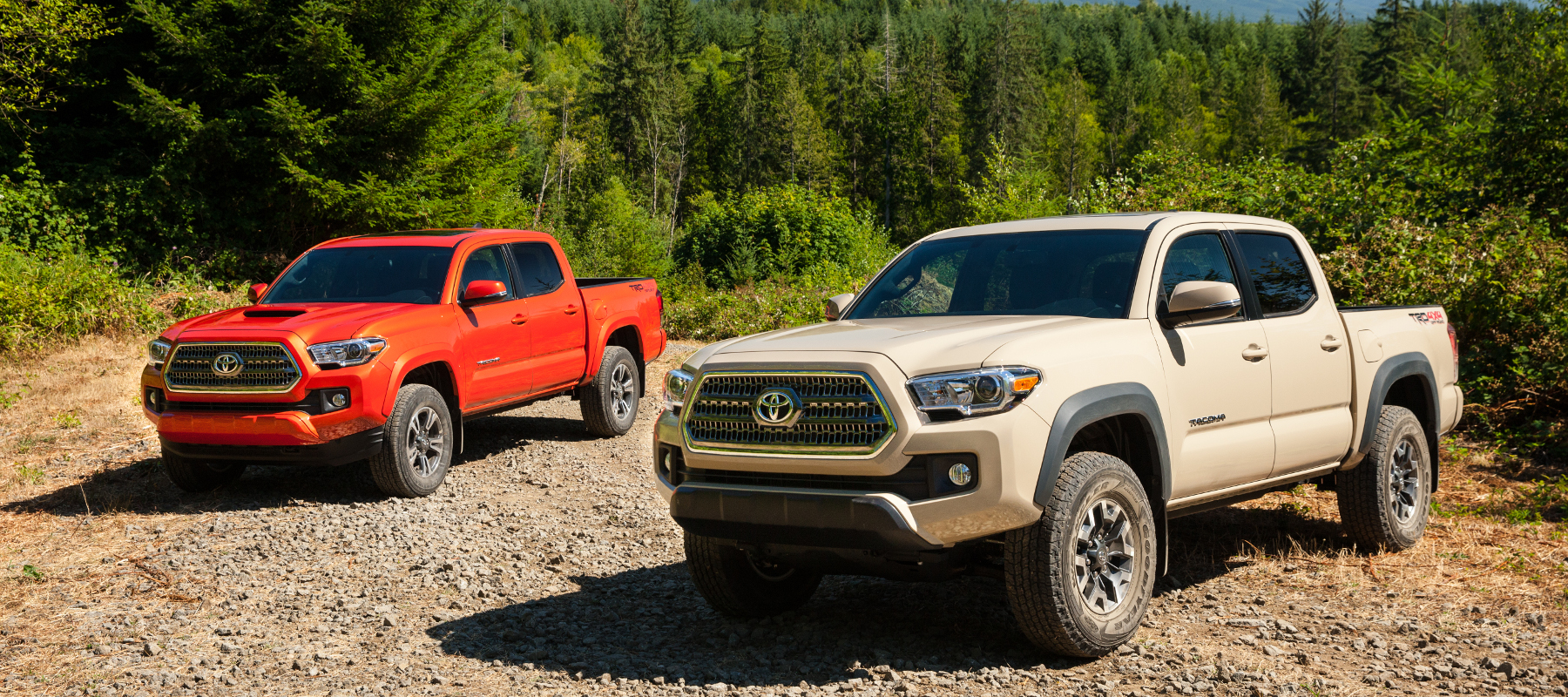 Toyota 4Runner Towing Capacity >> 2016 Toyota Tacoma Vs 2016 Toyota 4runner Toyota 4Runner Towing Capacity >> 2016 Toyota Tacoma Vs 2016 Toyota 4runner