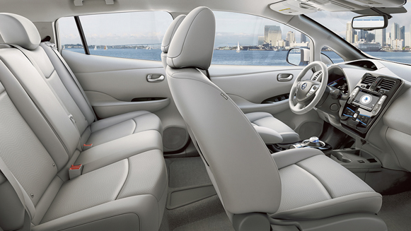 leaf interior 1