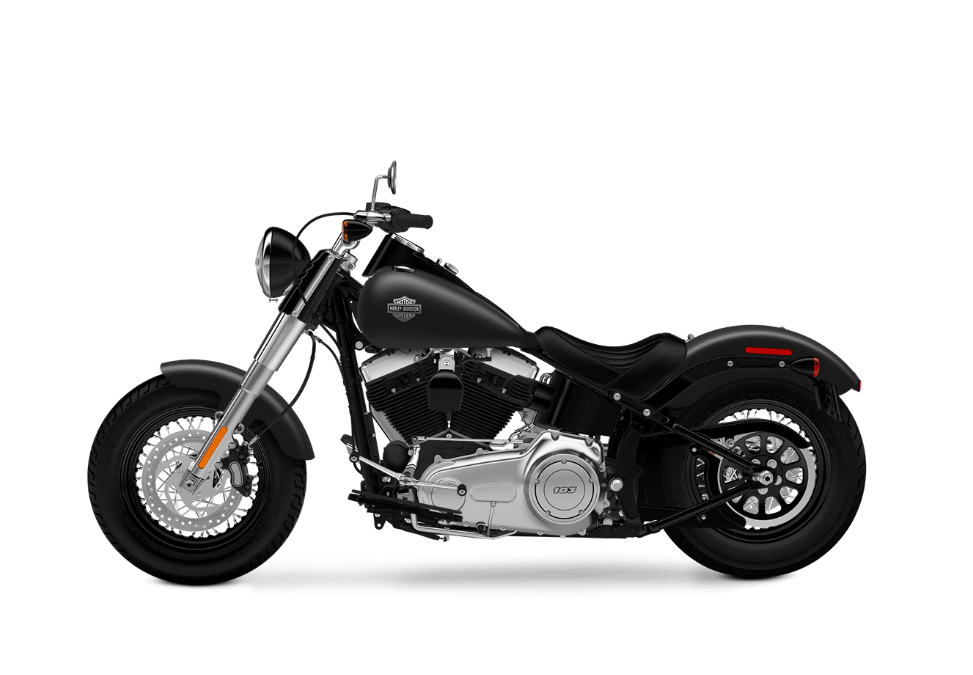 2010 softail slim