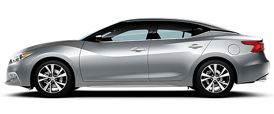 2017 Maxima® SV