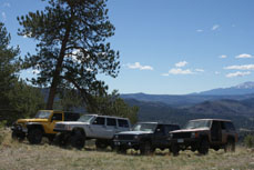 Four Jeep Wranglers lined up in a grassy field with mountains in the background